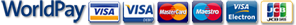 worldpay logo icon